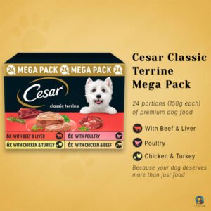 Cesar Classic Terrine Mega Pack – 24 Portions