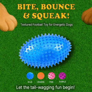 Squeaky Rubber Football Toy for Dogs