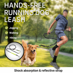 Hands-Free Running Dog Leash with Shock Absorbing Bungee and Waist Belt