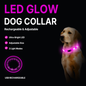 LED Glow Dog Collar – USB Rechargeable & Adjustable